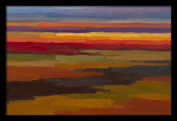 Tulip Field Stripes In Bright Colors