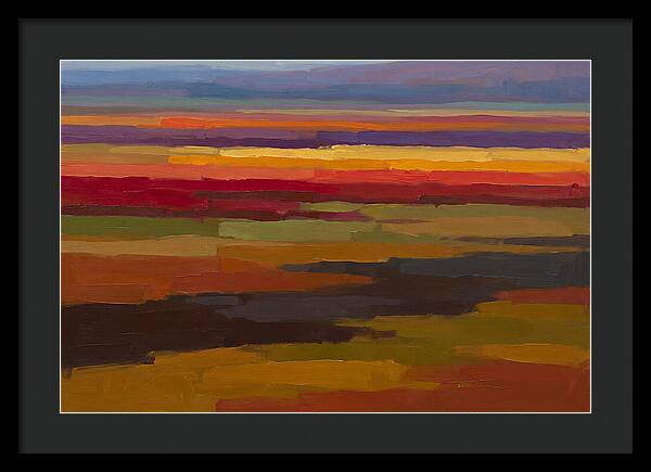Tulip Field Stripes In Bright Colors
