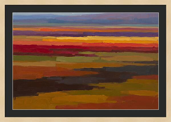 Tulip Field Stripes In Bright Colors