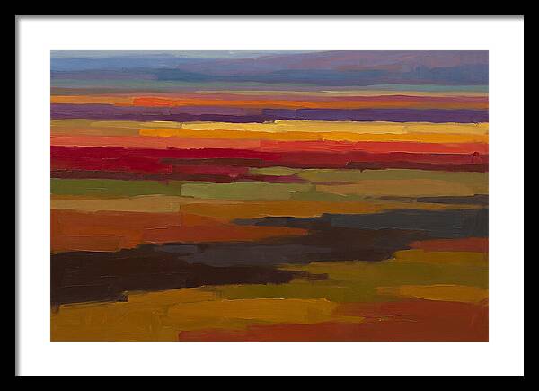 Tulip Field Stripes In Bright Colors