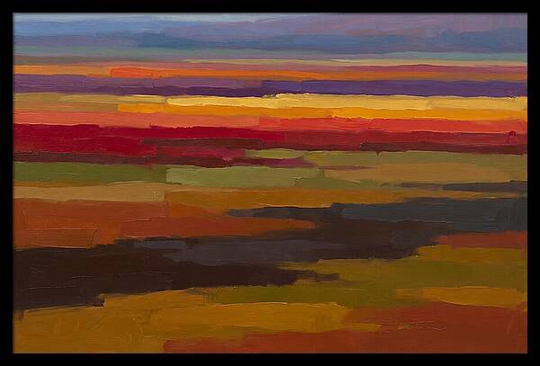 Tulip Field Stripes In Bright Colors