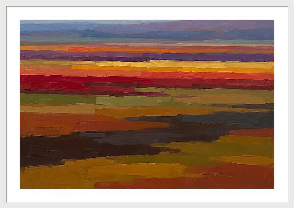 Tulip Field Stripes In Bright Colors