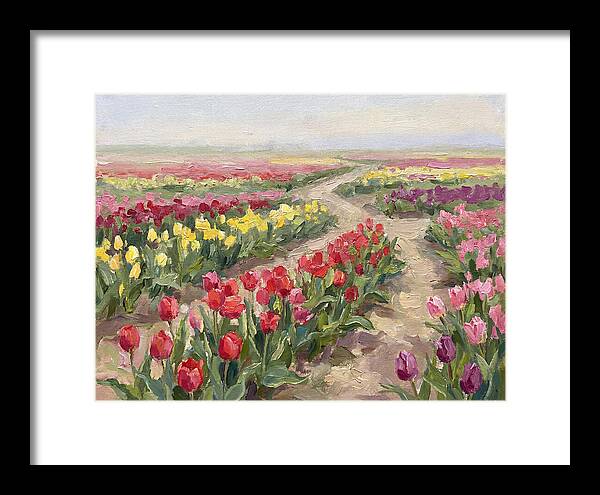 Tulip Field Tranquility