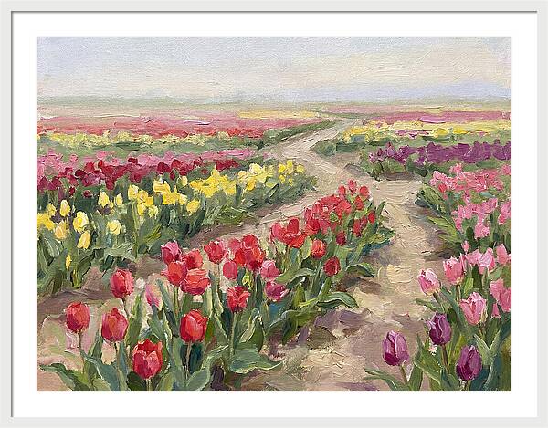 Tulip Field Tranquility