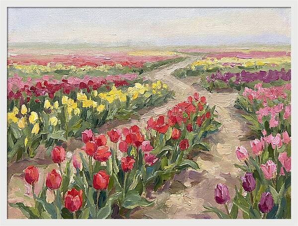Tulip Field Tranquility