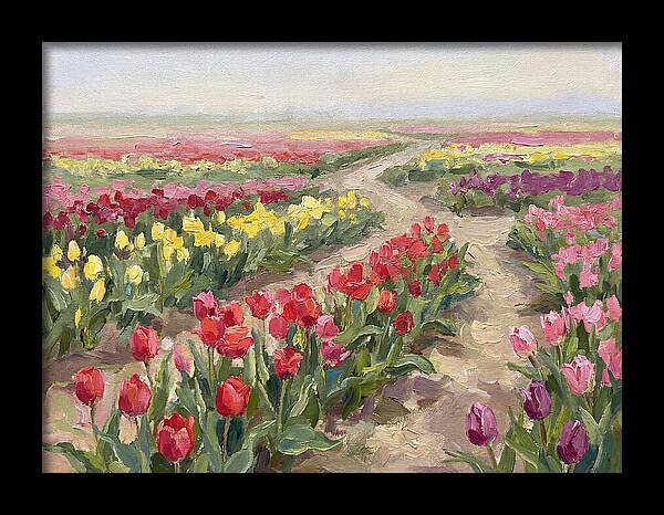 Tulip Field Tranquility