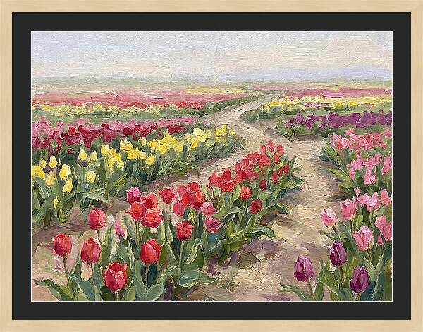 Tulip Field Tranquility