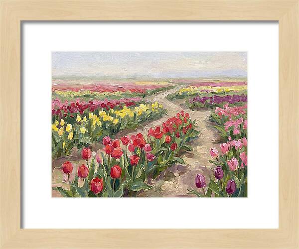 Tulip Field Tranquility