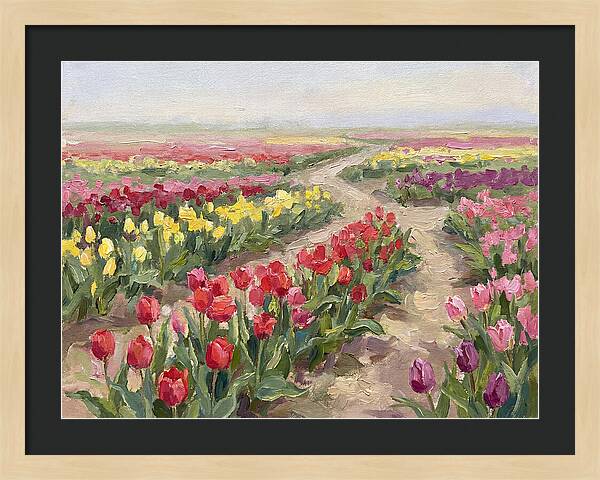 Tulip Field Tranquility