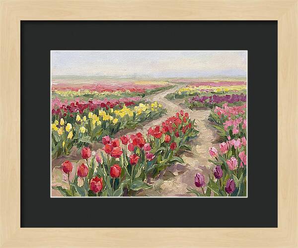 Tulip Field Tranquility