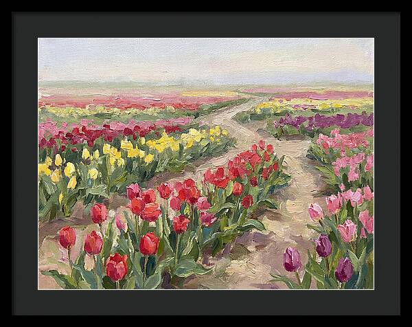 Tulip Field Tranquility