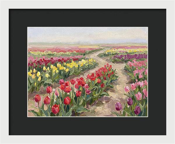 Tulip Field Tranquility