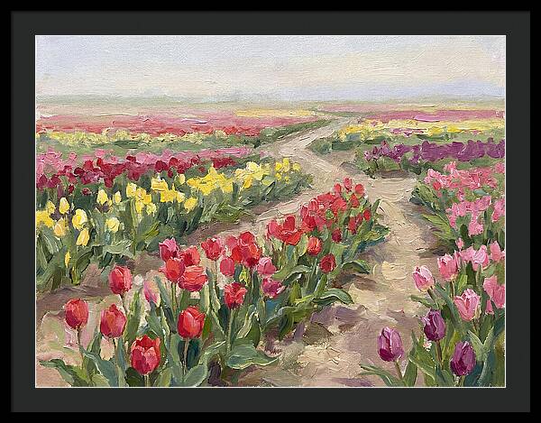 Tulip Field Tranquility