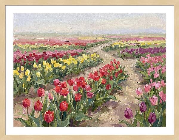 Tulip Field Tranquility