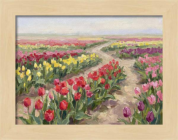 Tulip Field Tranquility
