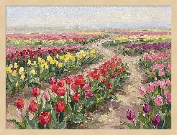 Tulip Field Tranquility