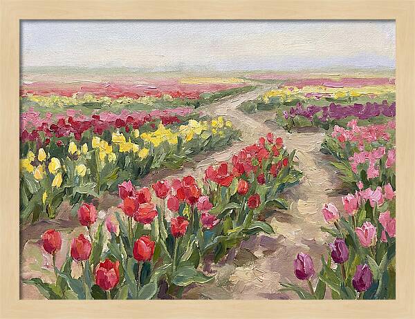 Tulip Field Tranquility