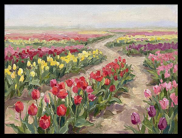 Tulip Field Tranquility
