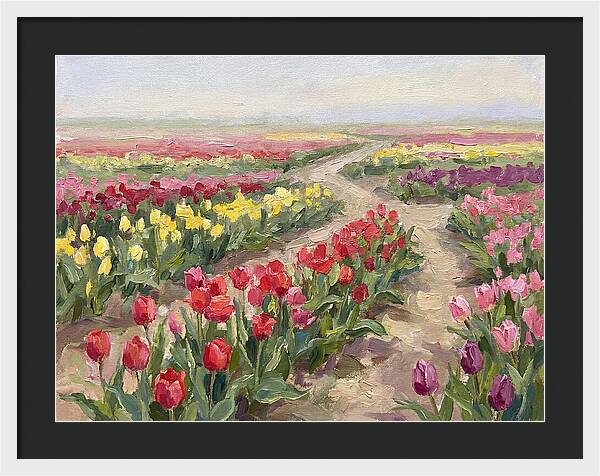 Tulip Field Tranquility