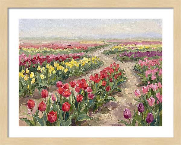 Tulip Field Tranquility