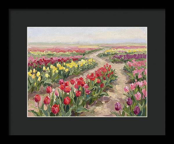 Tulip Field Tranquility