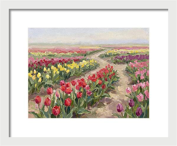 Tulip Field Tranquility