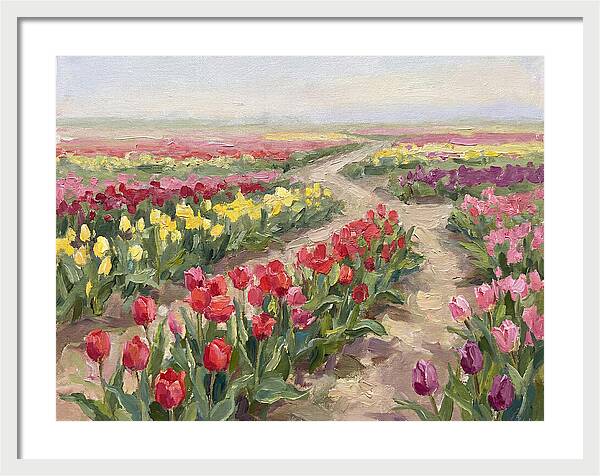 Tulip Field Tranquility