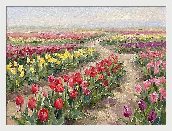 Tulip Field Tranquility