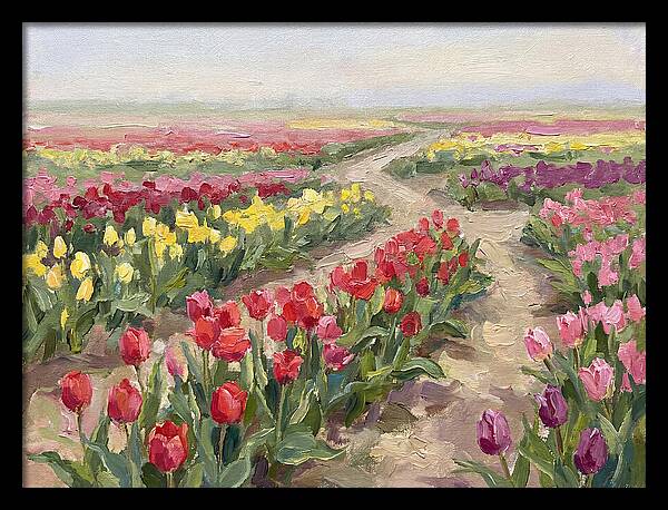 Tulip Field Tranquility