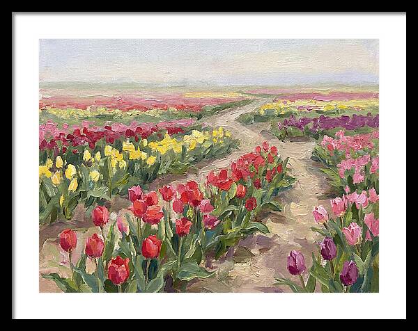 Tulip Field Tranquility