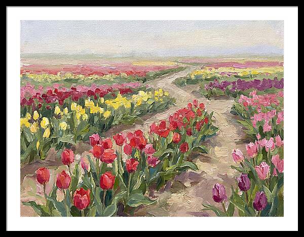 Tulip Field Tranquility