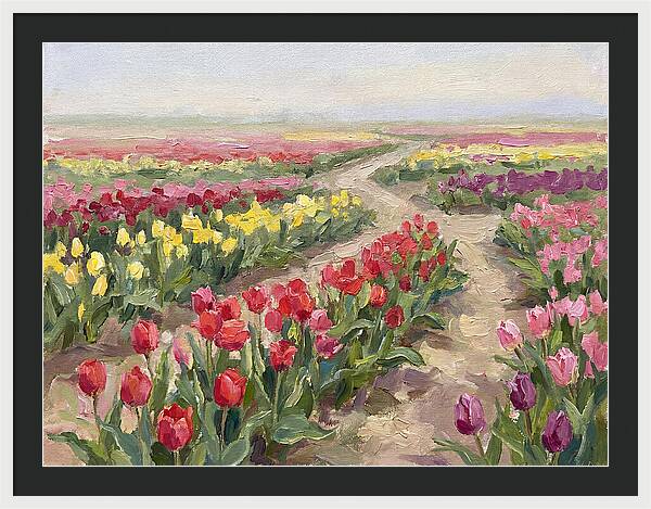 Tulip Field Tranquility