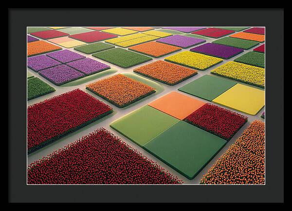 Tulip Fields In Geometric Color Blocks