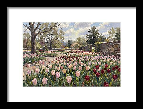 Tulip Haven Tranquility