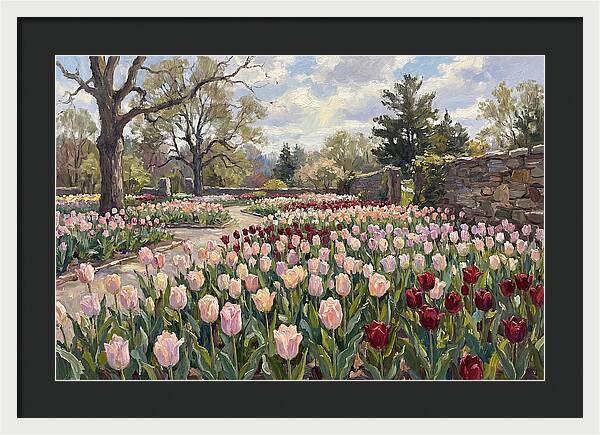 Tulip Haven Tranquility