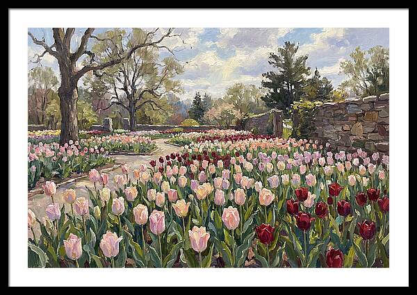 Tulip Haven Tranquility