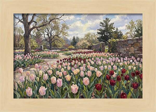 Tulip Haven Tranquility