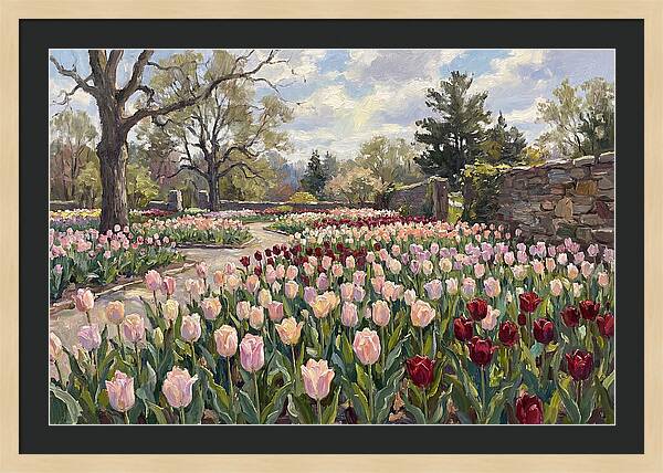 Tulip Haven Tranquility
