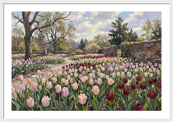 Tulip Haven Tranquility