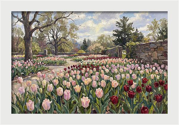 Tulip Haven Tranquility