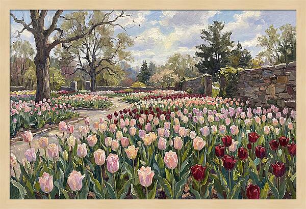 Tulip Haven Tranquility