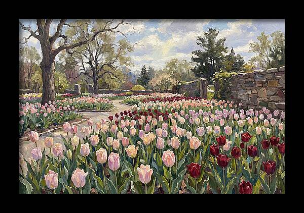 Tulip Haven Tranquility