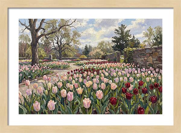 Tulip Haven Tranquility