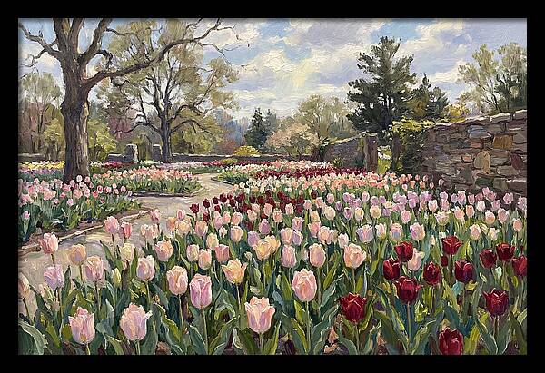 Tulip Haven Tranquility