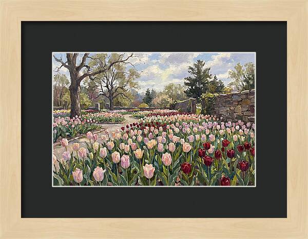 Tulip Haven Tranquility
