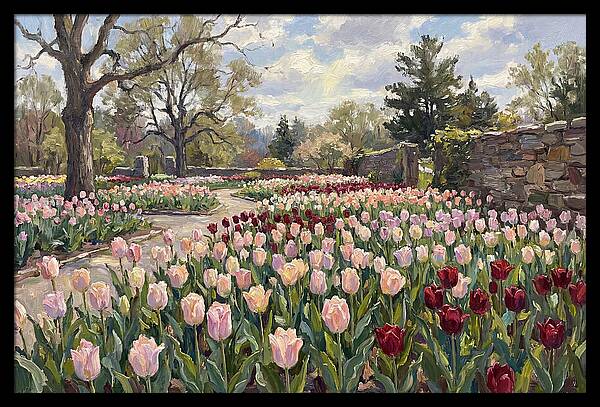 Tulip Haven Tranquility