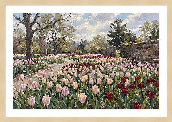 Tulip Haven Tranquility