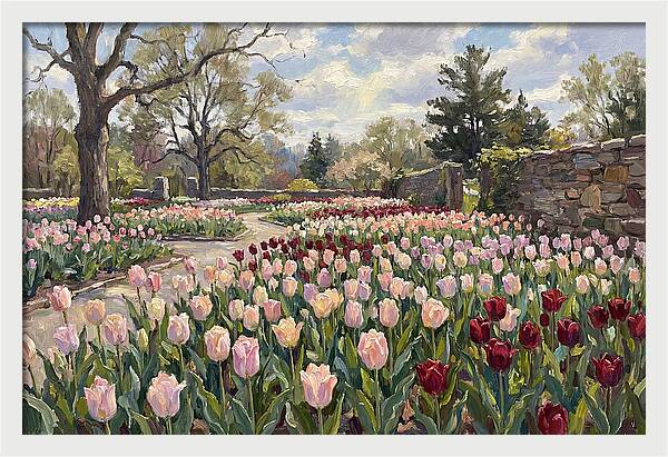 Tulip Haven Tranquility
