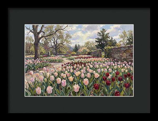 Tulip Haven Tranquility