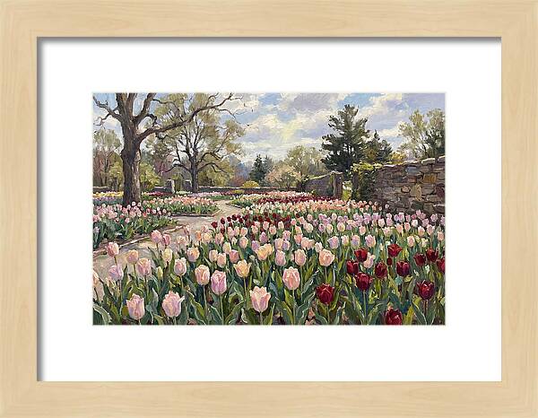 Tulip Haven Tranquility